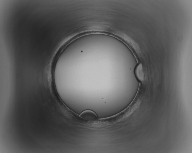 X0000102391077200808010930