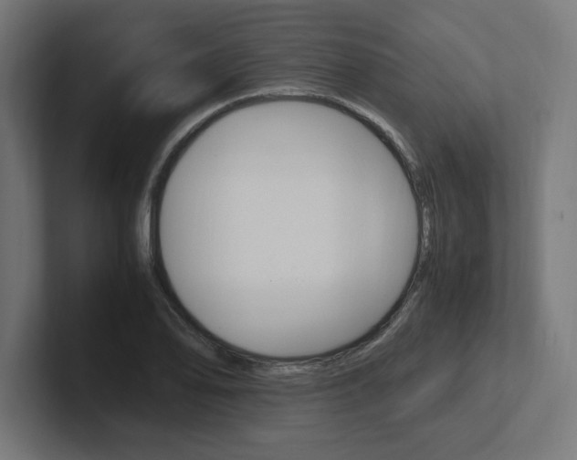 X0000102391078200808010930