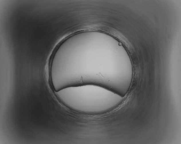 X0000102391079200808010930