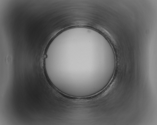 X0000102391081200808010930