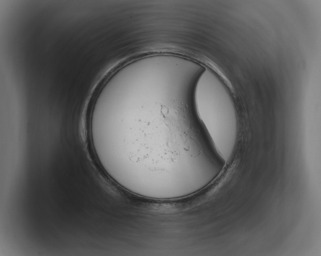 X0000102391082200808010930