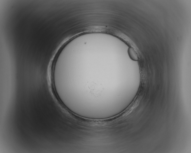 X0000102391083200808010930