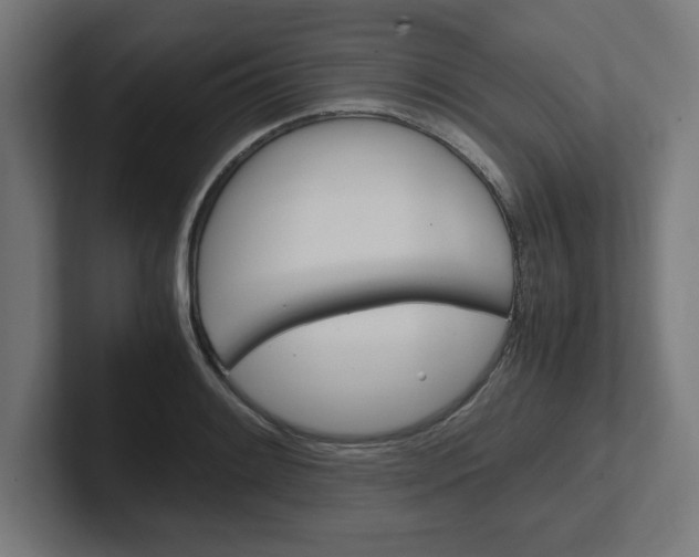 X0000102391084200808010930