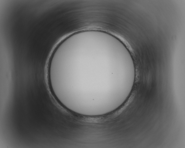 X0000102391086200808010929