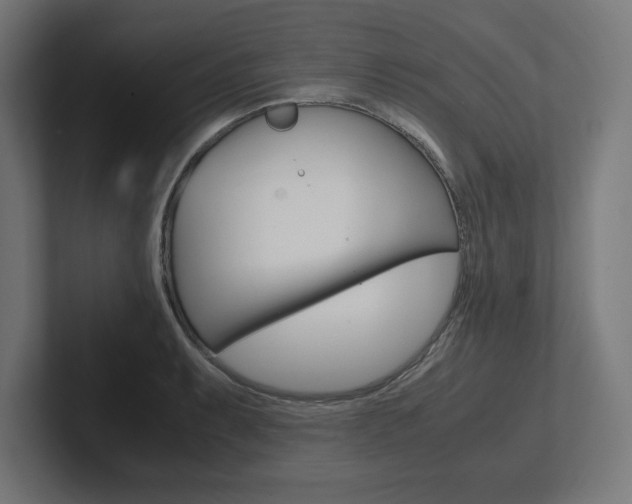 X0000102391087200808010929