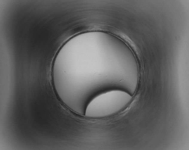 X0000102391089200808010929