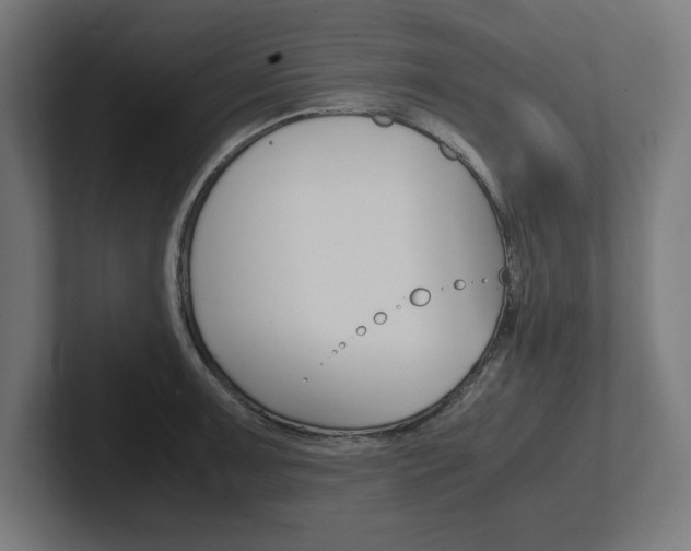 X0000102391091200808010929