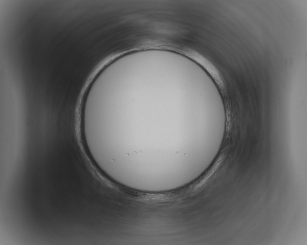 X0000102391094200808010929