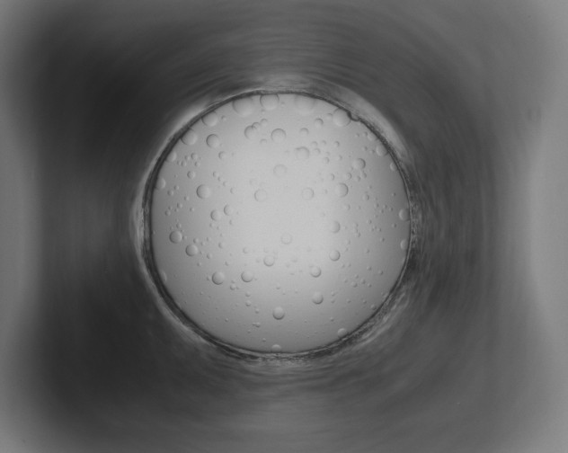 X0000102391095200808010929