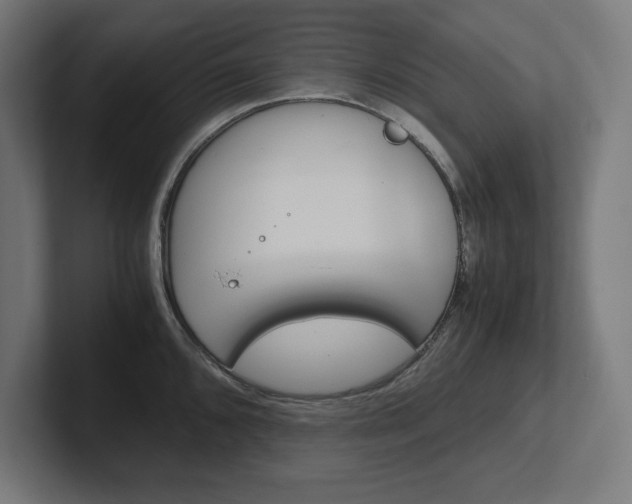 X0000102391096200808010929