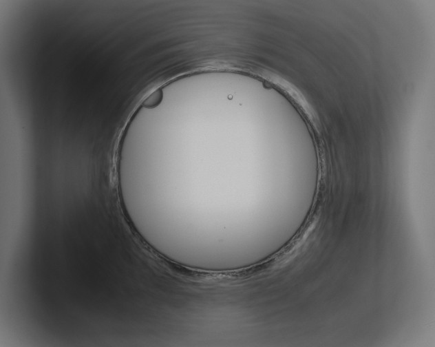 X0000102391097200808010929