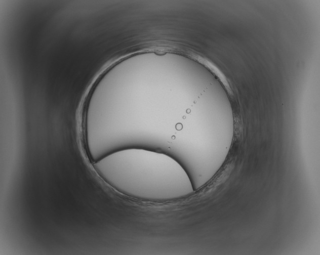 X0000102391099200808010929