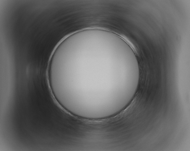 X0000102391100200808010929