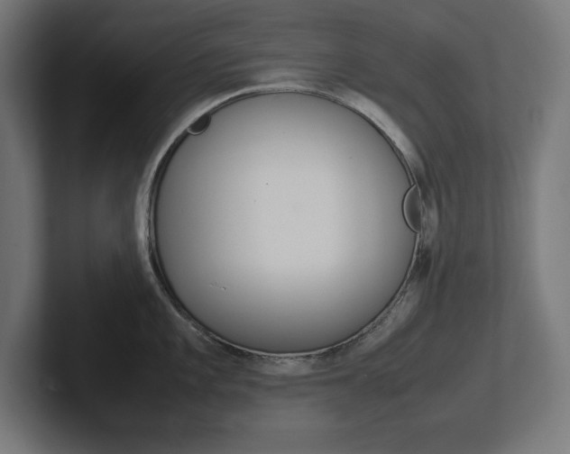 X0000102391101200808010929