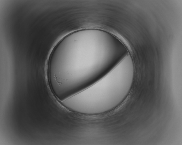 X0000102391102200808010929