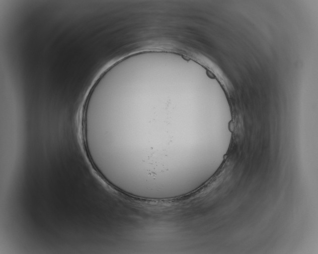 X0000102391103200808010929