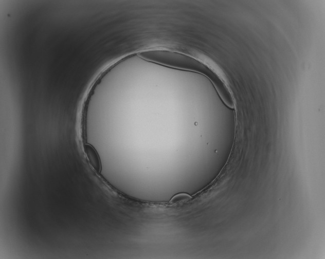 X0000102391104200808010929