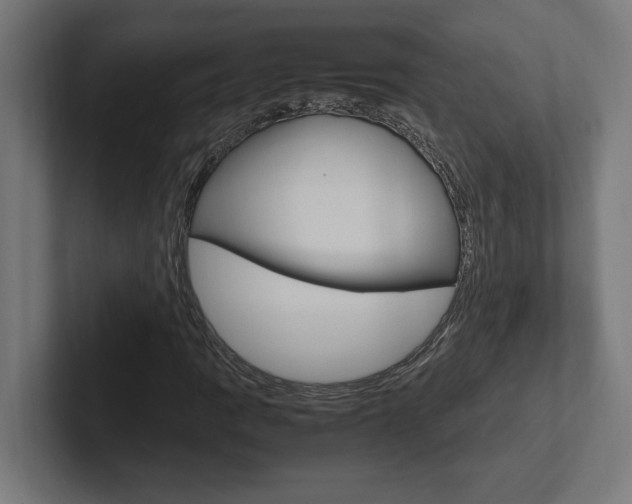 X0000102391109200808010929