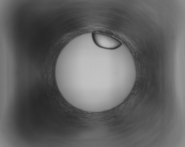 X0000102391110200808010929