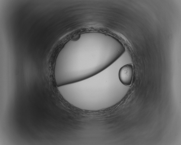 X0000102391112200808010929