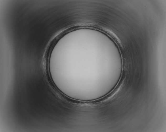X0000102391114200808010929