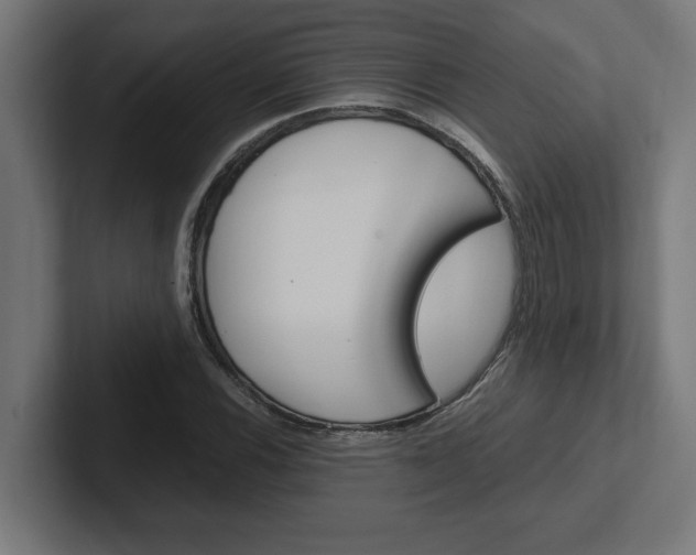 X0000102391116200808010929