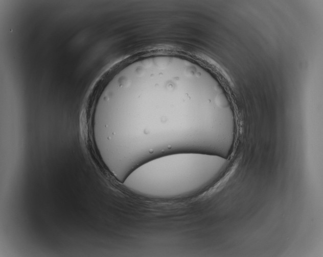 X0000102391117200808010929