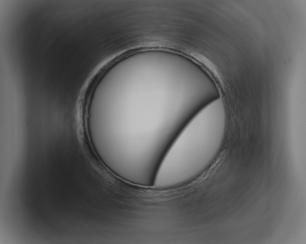 X0000102391120200808010929