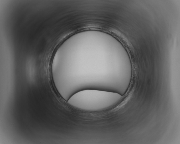 X0000102391121200808010929