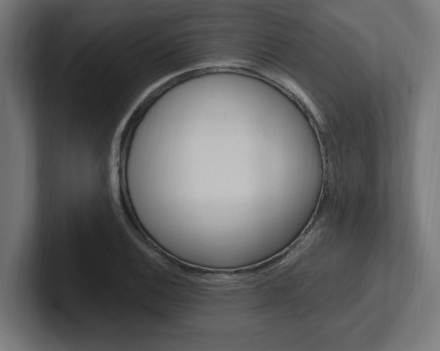 X0000102391124200808010929