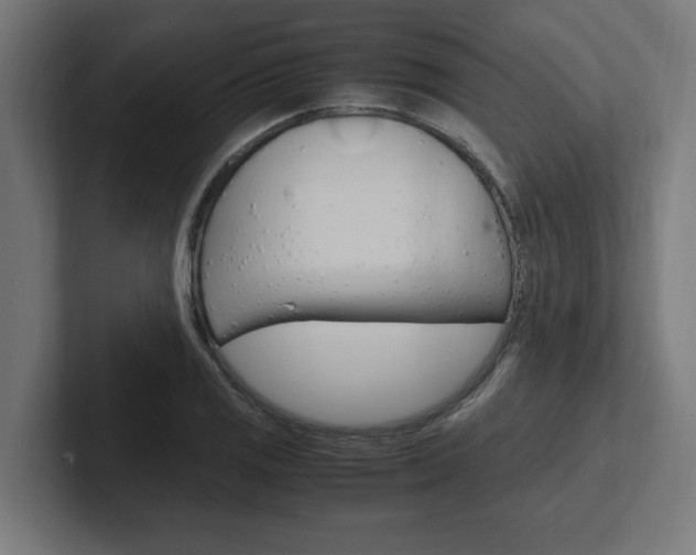 X0000102391125200808010929