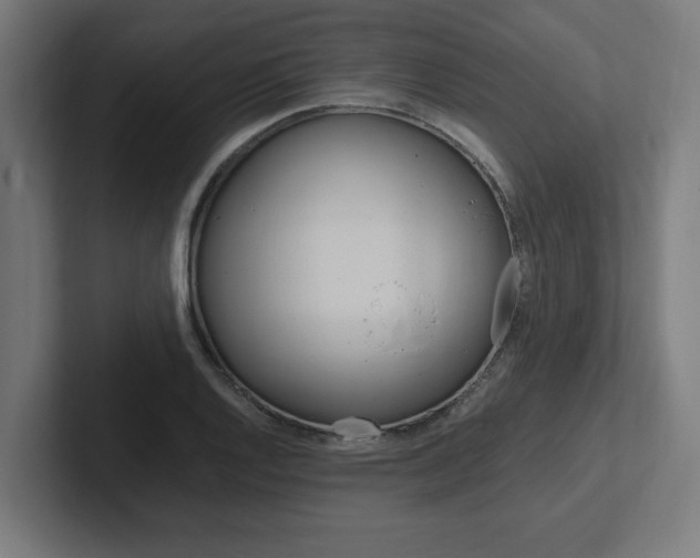 X0000102391128200808010929