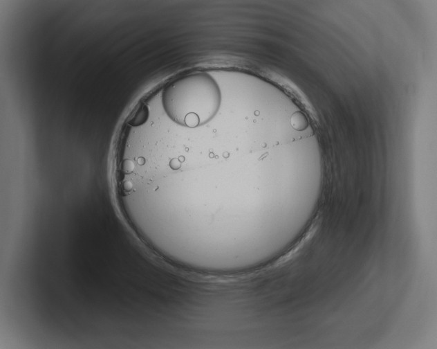 X0000102391130200808010929