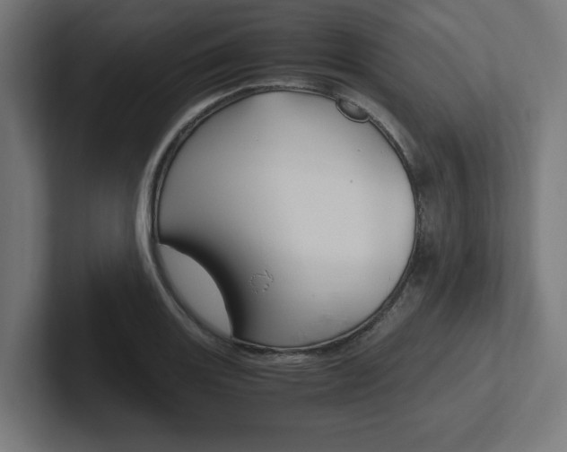 X0000102391131200808010929