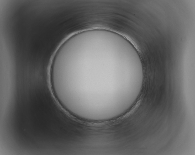 X0000102391134200808010929