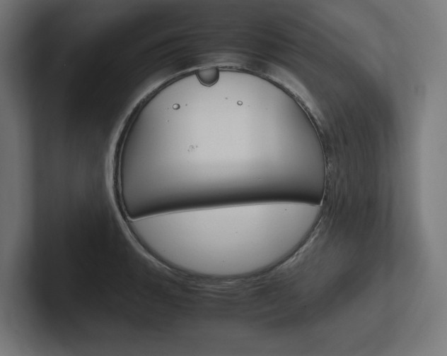 X0000102391135200808010929