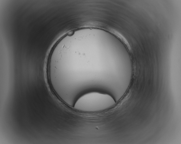 X0000102391138200808010929