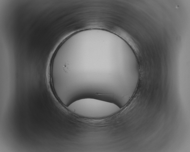 X0000102391140200808010929