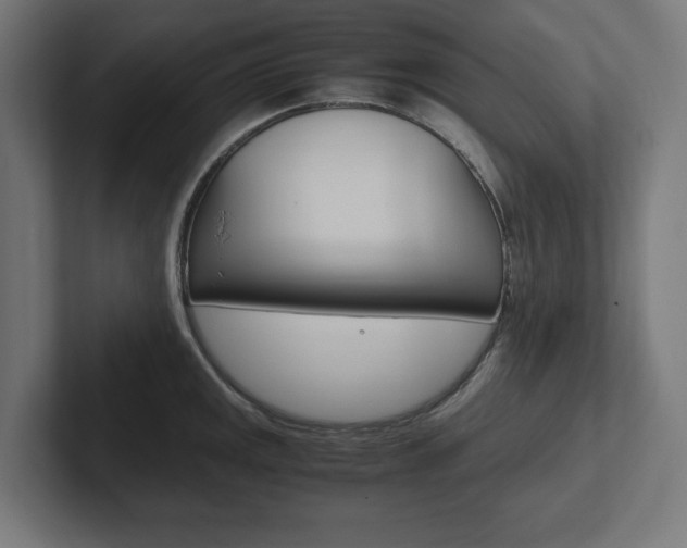 X0000102391141200808010929
