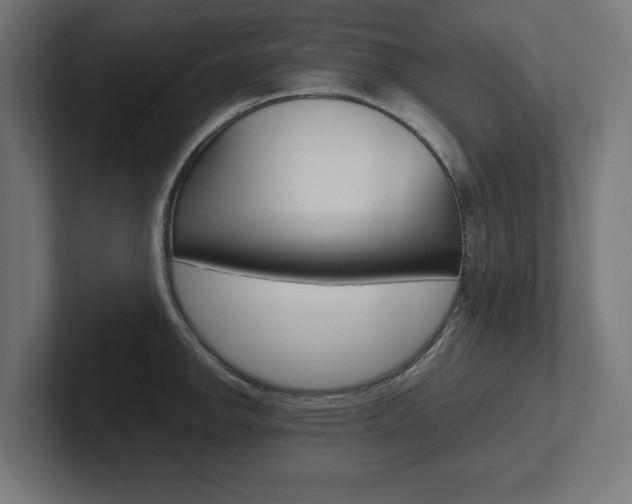 X0000102391142200808010929