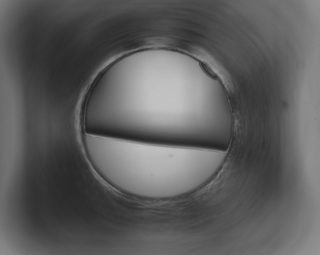 X0000102391143200808010929