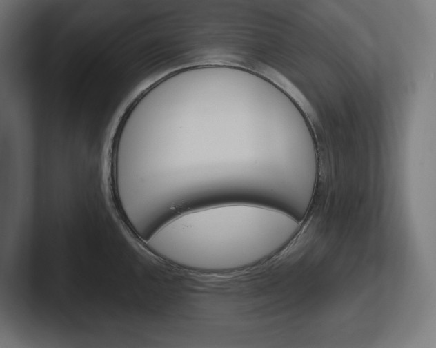 X0000102391144200808010929