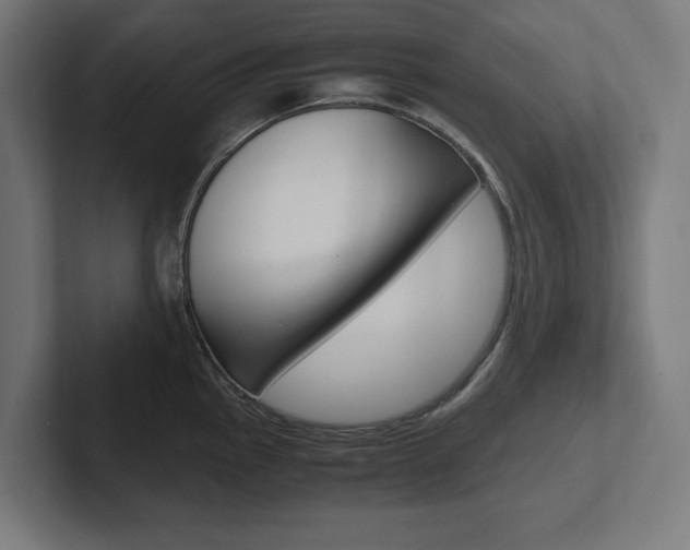 X0000102391145200808010929