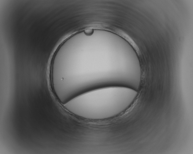 X0000102391146200808010929