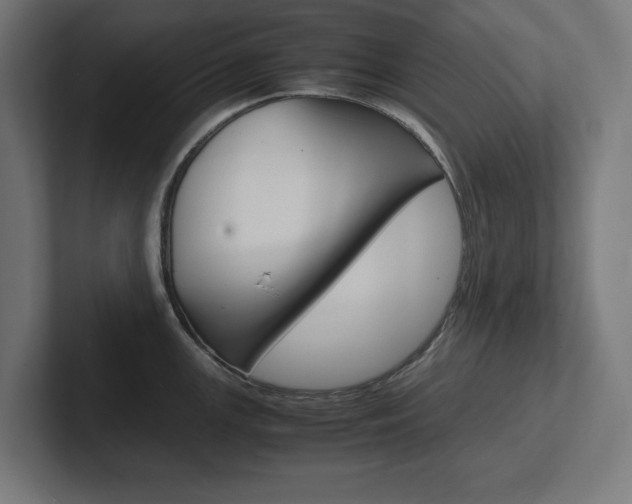 X0000102391147200808010929