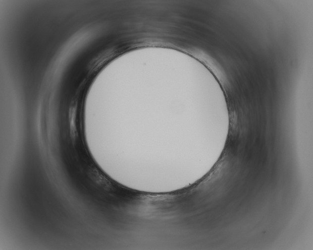 X0000102391150200808010929
