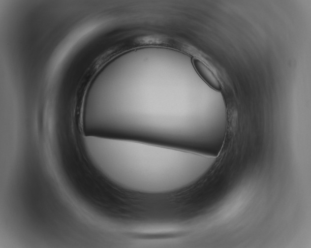 X0000102391151200808010929