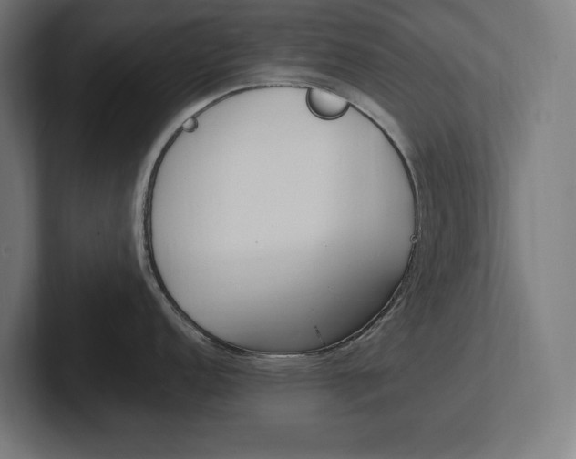 X0000102391152200808010929