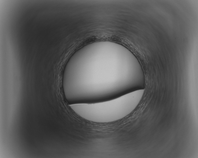 X0000102391153200808010929