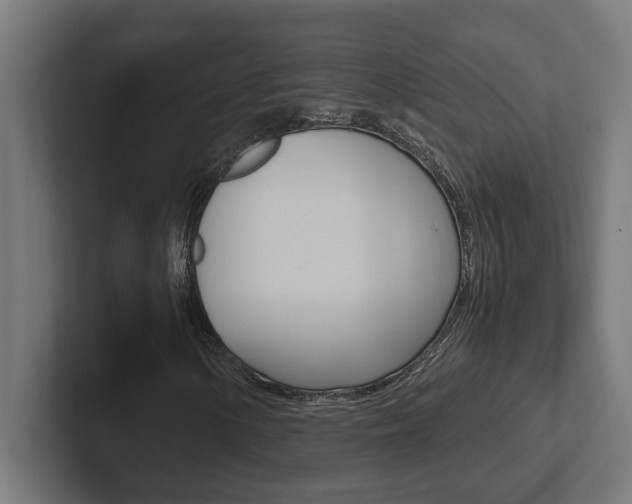 X0000102391154200808010929